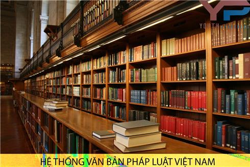 CÁC VĂN BẢN PHÁP LUẬT CỦA VIỆT NAM ĐƯỢC SẮP XẾP HỆ THỐNG NHƯ THẾ NÀO?