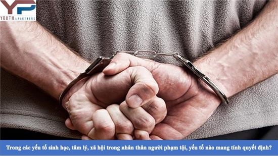 Trong các yếu tố sinh học, tâm lý, xã hội trong nhân thân người phạm tội, yếu tố nào mang tính quyết định?