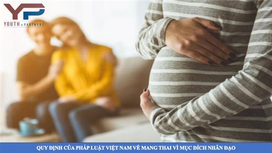 Quy định của pháp luật Việt Nam về mang thai vì mục đích nhân đạo