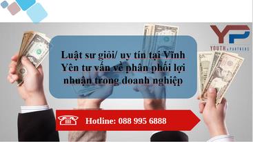 LUẬT SƯ GIỎI/ UY TÍN TẠI TAM DƯƠNG TƯ VẤN VỀ VẤN ĐỀ PHÂN PHỐI LỢI NHUẬN TRONG DOANH NGHIỆP 