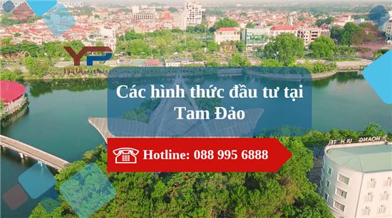 Các hình thức đầu tư tại Tam Đảo, Sông Lô, Lập Thạch, Bình Xuyên, Vĩnh Yên