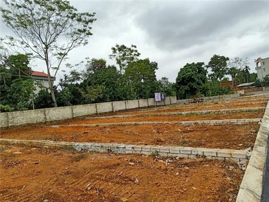 Diện tích tối thiểu tách thửa đất nông nghiệp tại Vĩnh Phúc năm 2025